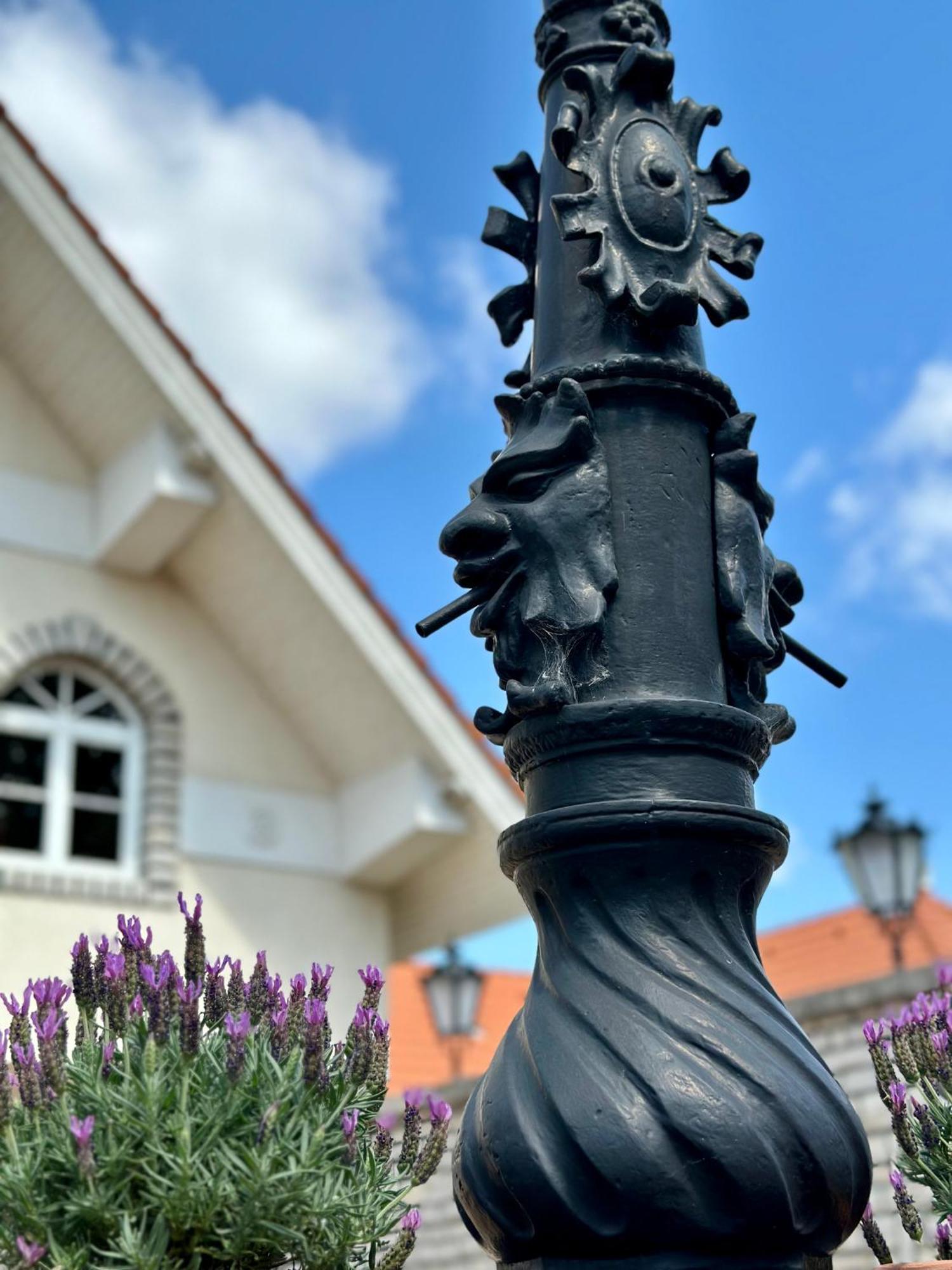 Ello Residence Veszprém المظهر الخارجي الصورة
